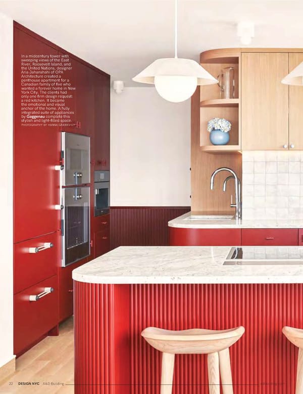 Design NYC: Global Style - Page 24